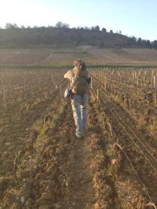 72893_10151615415821085_1238870750_n