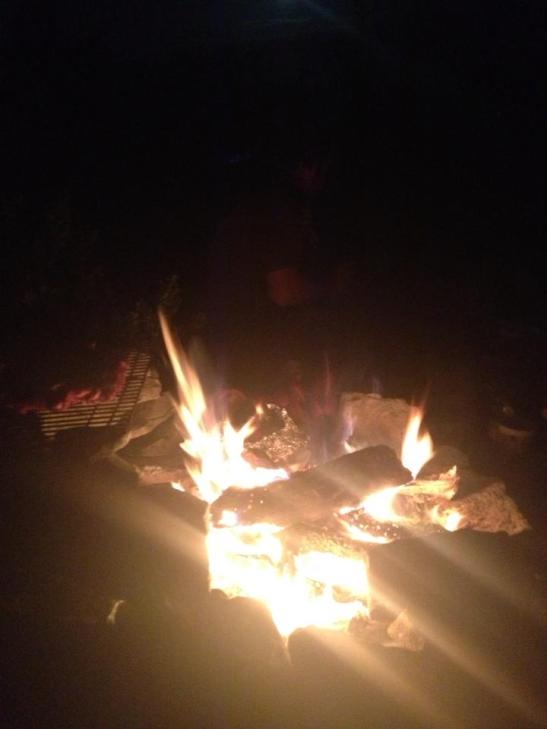 922931_10151615416131085_256347294_n