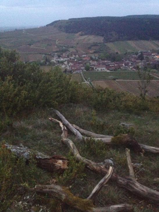 923073_10151615415976085_601457042_n