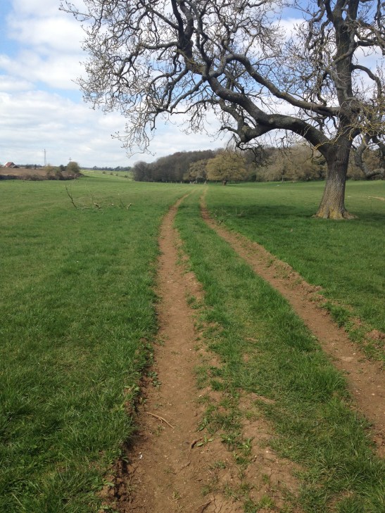 source of thames meadow