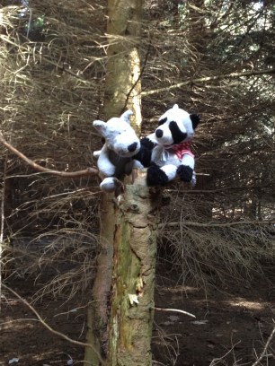 Kent's highest point